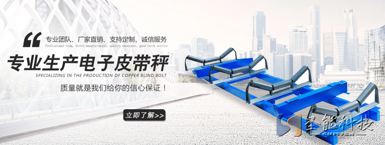 <a href='http://www.yiyudq.cn' target='_blank'><u>皮帶秤廠家</u></a>